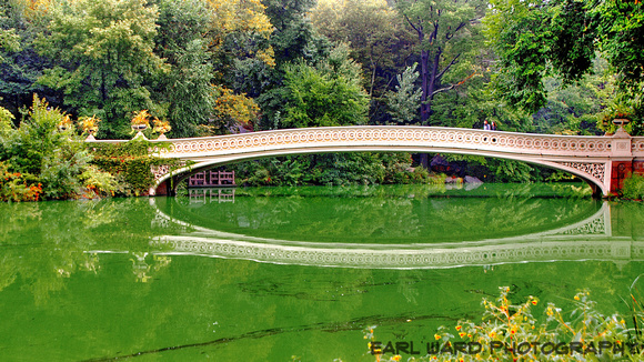 central park harry met sally bridge