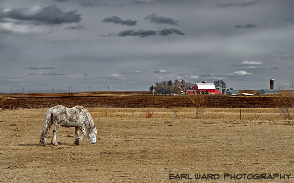 horse and barn