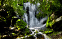 arboretum waterfall 2