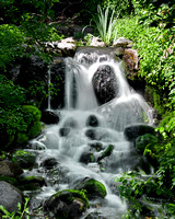 arboretum waterfall 5