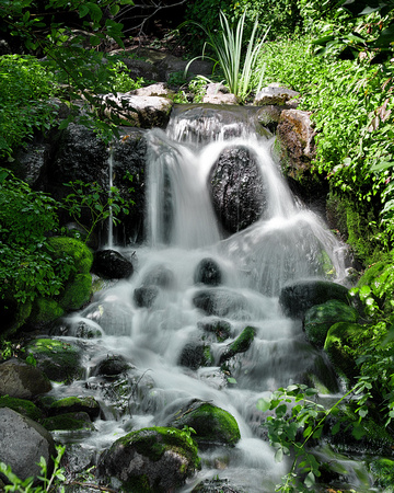 arboretum waterfall 5