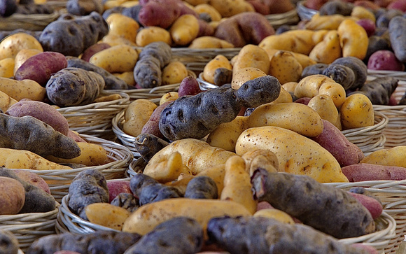 farmers market 10