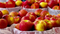 farmers market 3