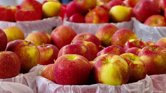 farmers market 3