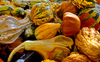 farmers market 7